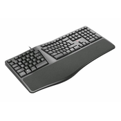 C-Tech tipkovnica KB-113E USB, ERGO, črna, CZ/SK
