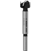Bosch Expert Glodalo za laminisano drvo 2608901847, 18 mm