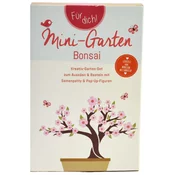 Wunderle Mini vrt bonsaj - kreativni pop-up vrtni set - 1 set.