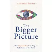 Bigger Picture