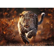 Trefl Puzzle Premium Plus Photo Odyssey: Wild leopard 1000 kosov