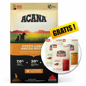 ACANA Puppy Large Breed Recipe 17 kg + DARILO
