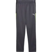 Puma Hlače IndividualLIGA Training Pants Kids