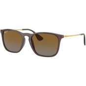 Sončna očala Ray-Ban moški, rjava barva