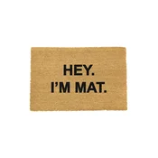 Artsy Doormats Krpa Quirky Collection