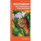 SOUTHWEST BUTTERFLIES & POLLIN