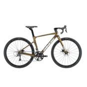 RINOS Odin1.0 Carbon cestno kolo Shimano SORA R3000 kolesarsko kolo iz ogljikovih vlaken, zlata/rjava, 56 