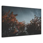 shumee Platno s tiskom Krošnje pomarančevcev 120x80