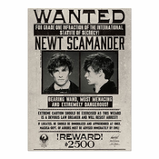 Minalima Plakat Newt Scamander - Magične živali