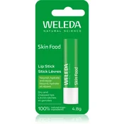 Lip Stick Skin Food (palčka za ustnice) 4,8 g