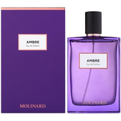 Molinard Les Elements Collection Ambre parfumska voda 75 ml unisex