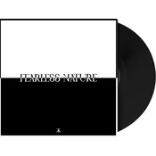 Kid Kapichi - Fearless Nature (LP)