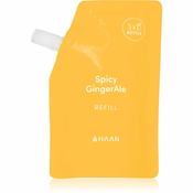 HAAN Hand Care Spicy GingerAle sprej za cišcenje ruku s antibakterijskim sastavom zamjensko punjenje 100 ml