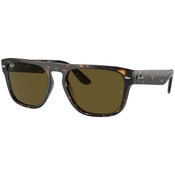 Sončna očala Ray-Ban RB4407 1359/73