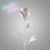 Neighbors - Failure (LP)