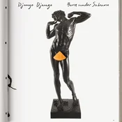 Django Django - Born Under Saturn (2 LP + CD)