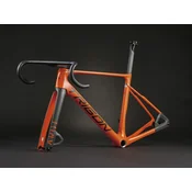 Trigon AR01 Speed-Orange 2026