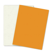 Herlitz risbe 50 x 70 cm, 10 listov, 300 g, oranžna barva