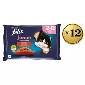Felix Vlažna hrana za macke prelivi Junior, 48x85g