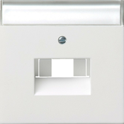 Gira Gira sredinska plošča UAE/IAE/ISDN rws/gl z napisno ploščo 0284112, (20858887)