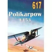 Nr 617 Polikarpow I-153