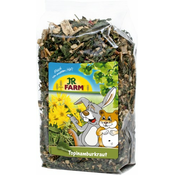 JR FARM TOPINAMBUR ZELIŠČA 150G