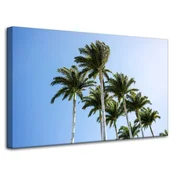 shumee Platno s tiskom Narava Palme 80x50 cm