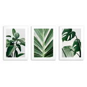 Stenski plakati Stenske dekoracije Zeleni listi Slike Plakat 50x70