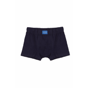 Apollo Boys Boxer Shorts - Dark Blue