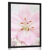 Plakat rožnata lilija in Zen kamni - 60x90 no frame