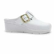 LEON ANATOMSKE COKLE, (1024_WHITE-40)