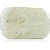 Sea of Spa Dead Sea Treatment sapun s morskim algama (Seaweed Soap) 100 g
