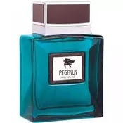 Flavia PEGASUS POUR HOMME edp 100ml