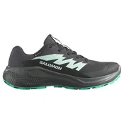 Salomon Alphaglide GTX