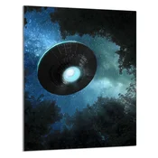 shumee STEKLENA DESKA ZA REZANJE 40x52 UFO