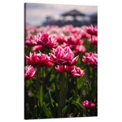 shumee Platno s tiskom Botanika Tulipani Cvetje 50x80 cm Cvetlični šopek