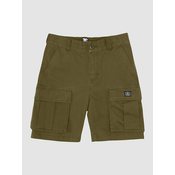 DC Tundra Cargo Shorts ivy green