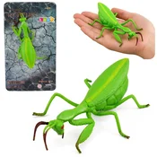 slomart LEAN TOYS GUMIJASTA MOLK - Realistična Figurica Insekta, Zelena, 18 cm