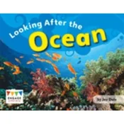 Looking After the Ocean