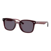 Ray-Ban RB4461D 659373