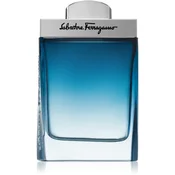 Salvatore Ferragamo Subtil Pour Homme toaletna voda za moške 100 ml