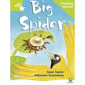 Rigby Star Phonic Guided Reading Green Level: Big Spider Teaching Version