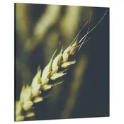 shumee Platno Botanika Pšenični klas 80x100 cm