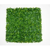 Zeleni zid 3D Tara 2, 100x100 cm