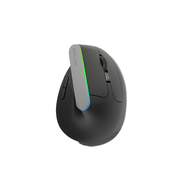 DELUX Brezžična miška Delux M618VB 2.4G AI 2400DPI RGB, (21580292)