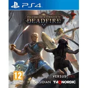 PS4 Pillars of Eternity II: Deadfire - Ultimate edition