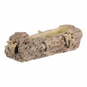 Betonska embalaža - korito, les z gobami, 41 x 19x 13 cm, rjava