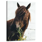 shumee Slika na platnu Živali Konjska glava 50x70 cm Konjski hlev
