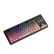 Dareu Tastatura, Šarena