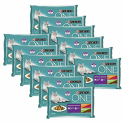 PURINA ONE Difficult Appetite 48x85 g